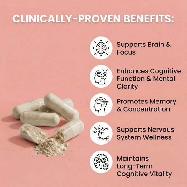 Brain & Focus Formula